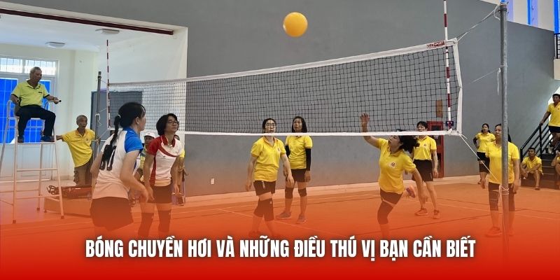 Bóng Chuyền Hơi Và Những Điều Thú Vị Bạn Cần Biết