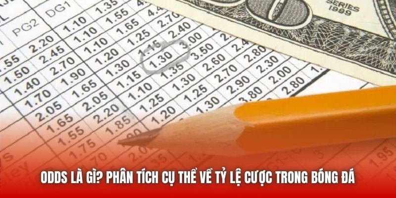 Odds Là Gì? Phân Tích Cụ Thể Về Tỷ Lệ Cược Trong Bóng Đá