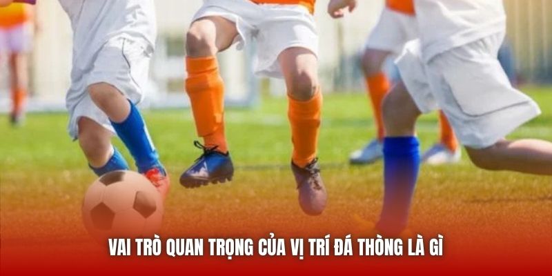 Vai trò quan trọng của vị trí đá thòng là gì 